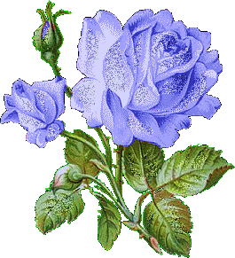 Rose bleue animée - 4